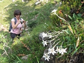 09 Stelle alpine con Roberta